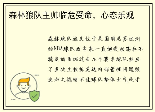 森林狼队主帅临危受命，心态乐观